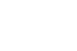 NEW WAVE HONORABLE copy